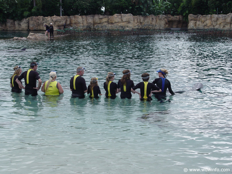 Discovery_Cove_Dolphin_Encounter_05