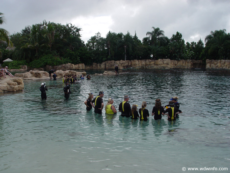 Discovery_Cove_Dolphin_Encounter_08