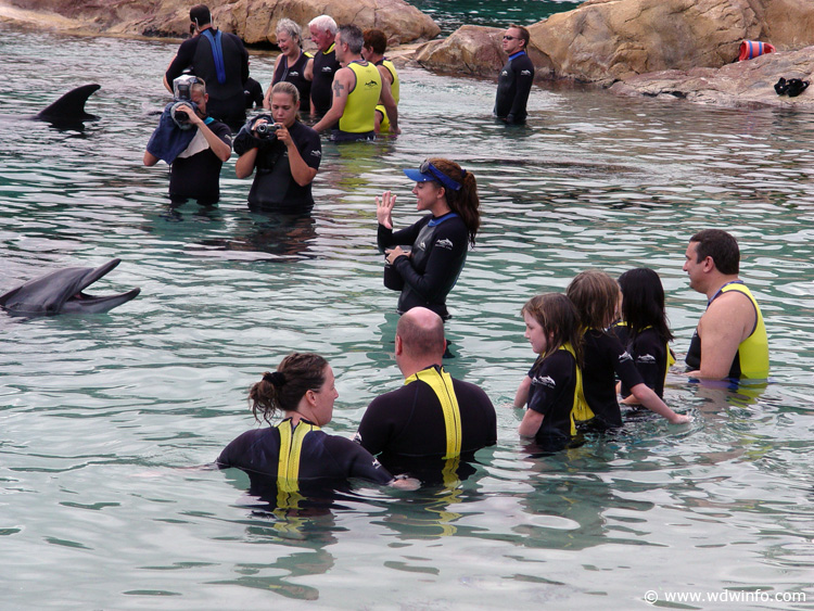 Discovery_Cove_Dolphin_Encounter_09