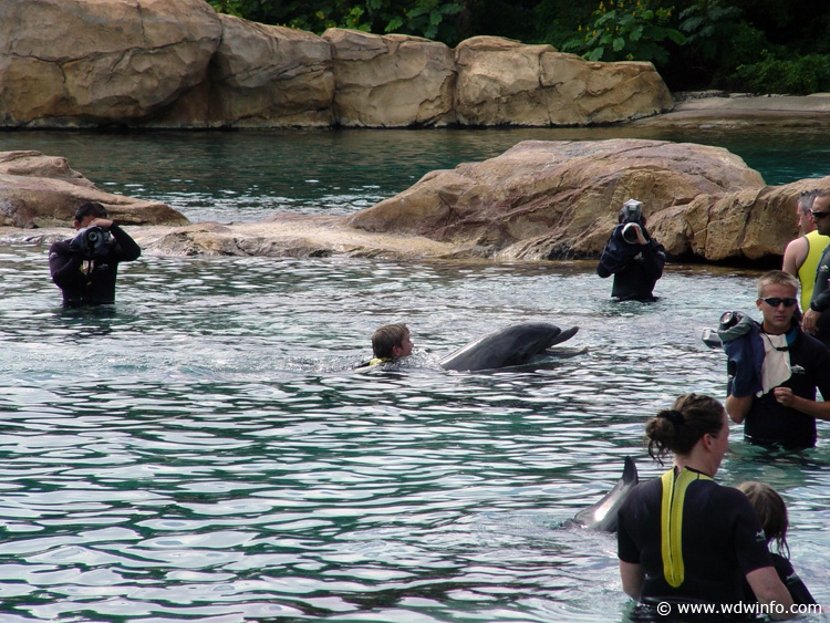 Discovery_Cove_Dolphin_Encounter_19