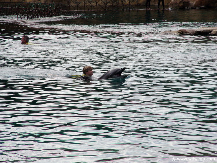 Discovery_Cove_Dolphin_Encounter_21