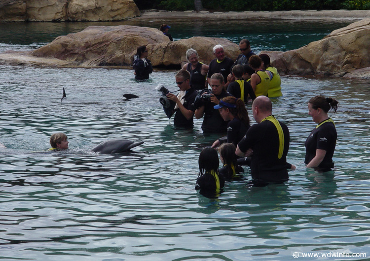 Discovery_Cove_Dolphin_Encounter_22