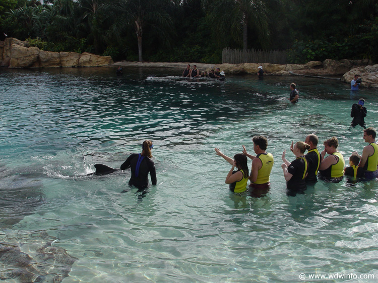 Discovery_Cove_Dolphin_Encounter_23
