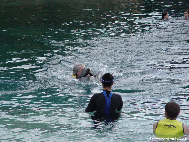 Discovery_Cove_Dolphin_Encounter_26
