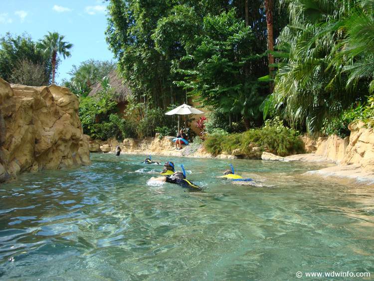 Discovery_Cove_Tropical_Pool_10