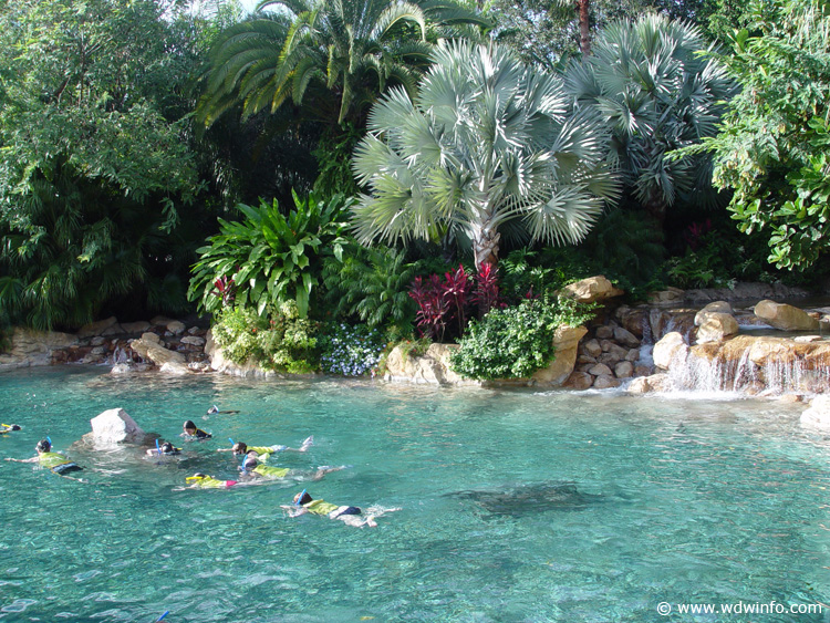 Discovery_Cove_Tropical_Pool_16