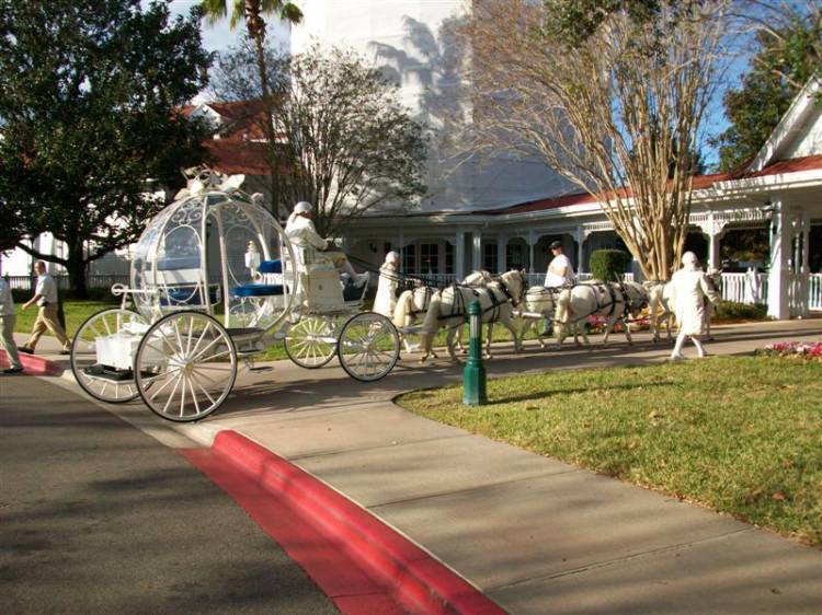 Disney-Dec08_372_Medium_