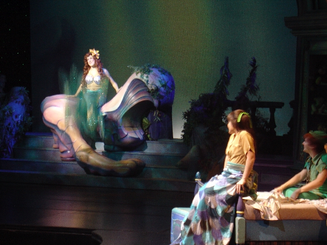 Disney Dreams Arial