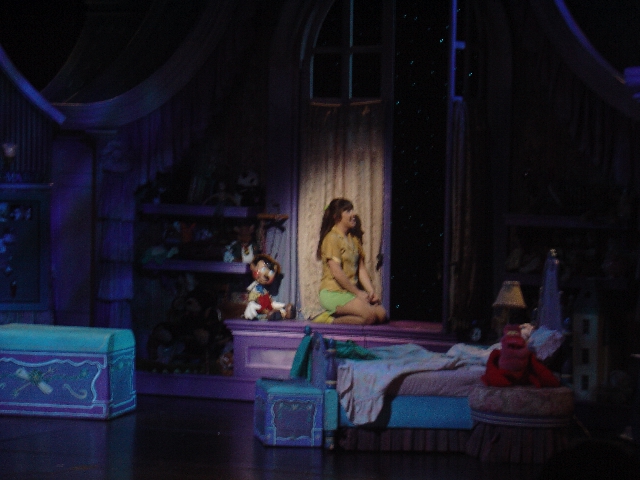 Disney Dreams Wishing
