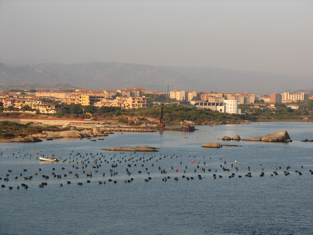 Disney Mediterranean Cruise - Olbia, Sardinia 8/1/07