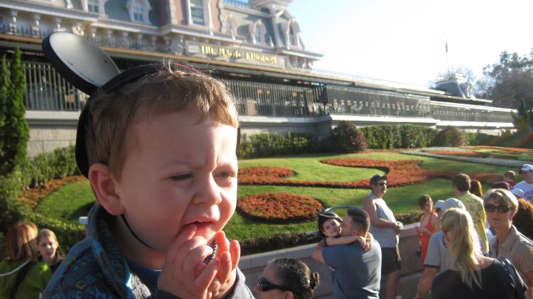 disney/nippert09