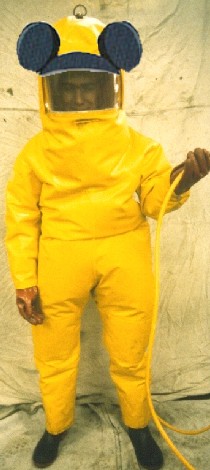 disney safety suit