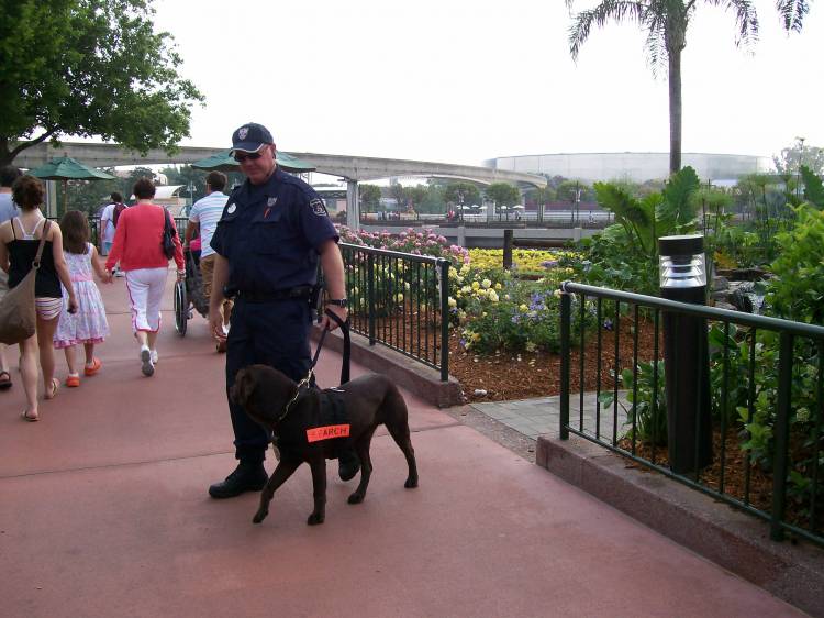 disney053
