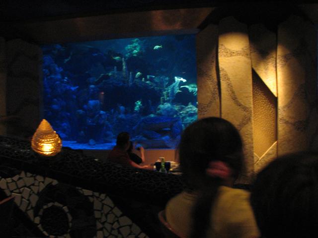 Disney3-07b_166_Small_
