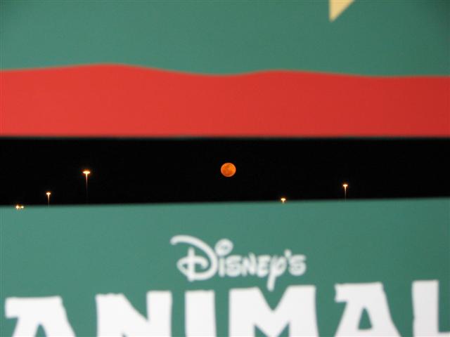 Disney3-07b_176_Small_