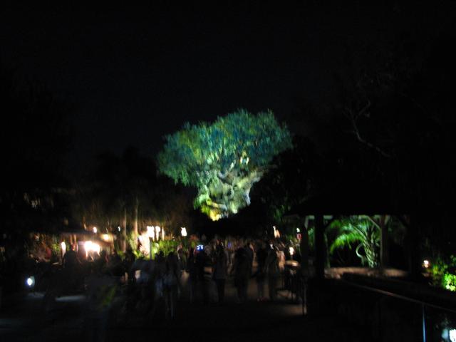 Disney3-07b_188_Small_