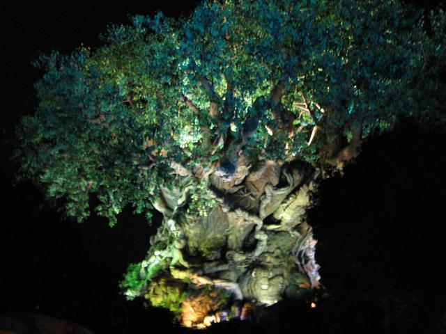 Disney3-07b_199_Small_