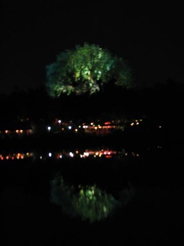 Disney3-07b_224_Small_1