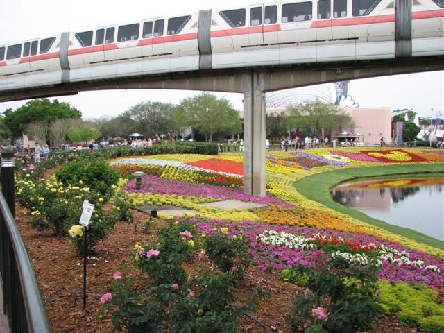 Disney3-07d_161_Small_