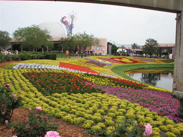 Disney3-07d_162_Small_