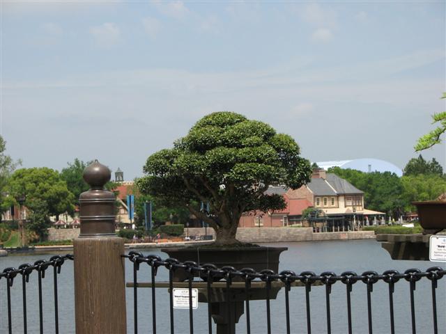 Disney3-07e_076_Small_