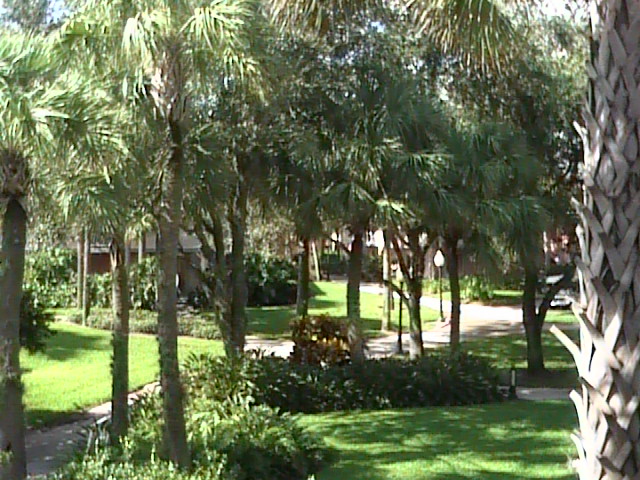 Disney_2007_163