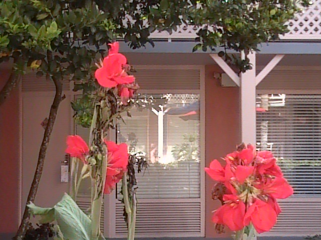 Disney_2007_169