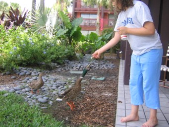Disney_July_2005_012