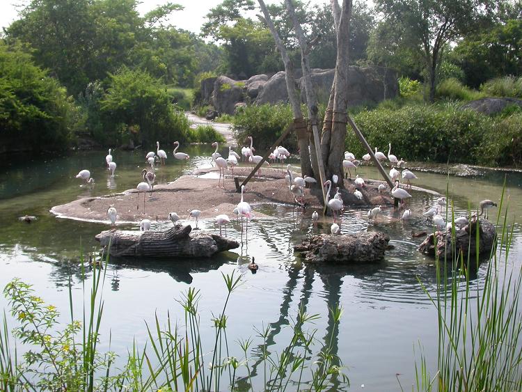 Disney_World_Pics_182