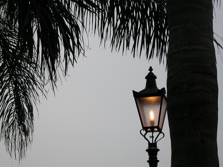 Disney_World_Pics_230
