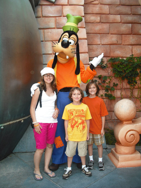 Disneyland 2010