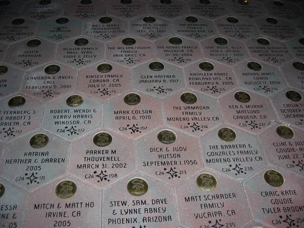 Disneyland Bricks -50th