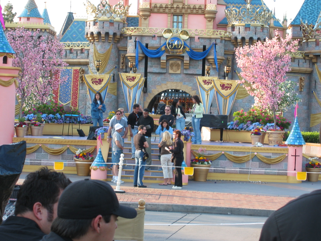 Disneyland Castle - 50th Celebration