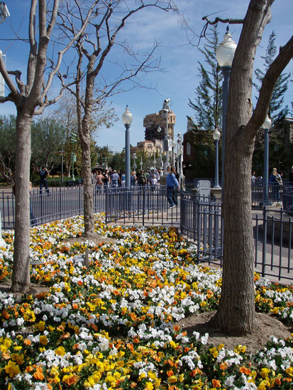 Disneyland DCA Tower of Terror