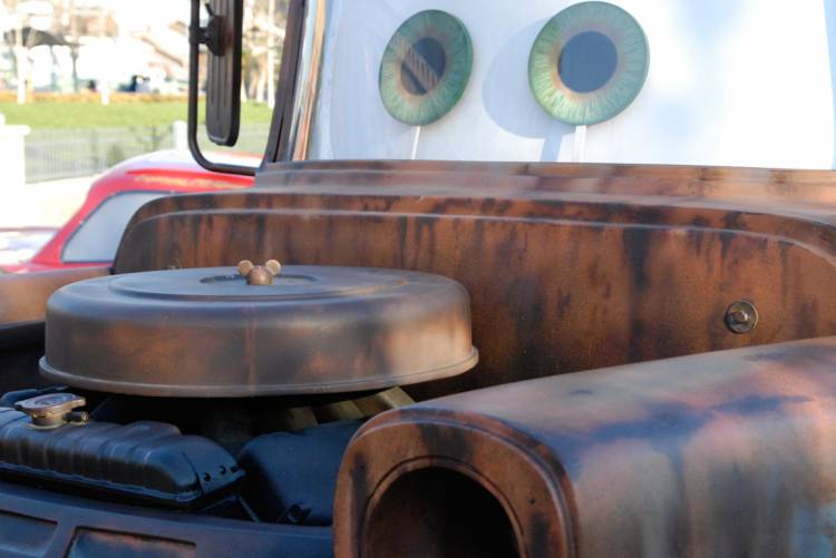 Disneyland Mater