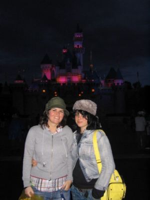 Disneyland Night Castle View