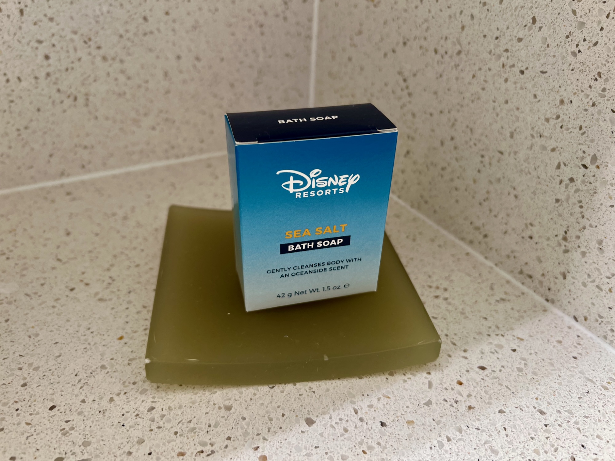 Disneys-All-Star-Music-Family-Suite-026.jpeg
