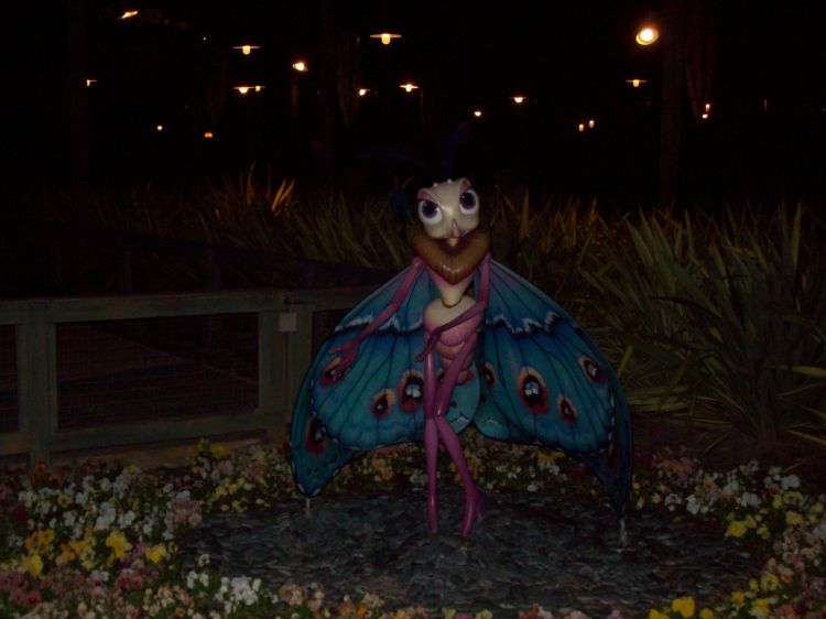 Disney's California Adventure Park