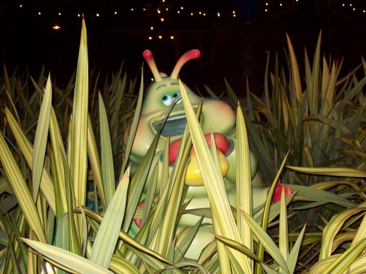 Disney's California Adventure Park
