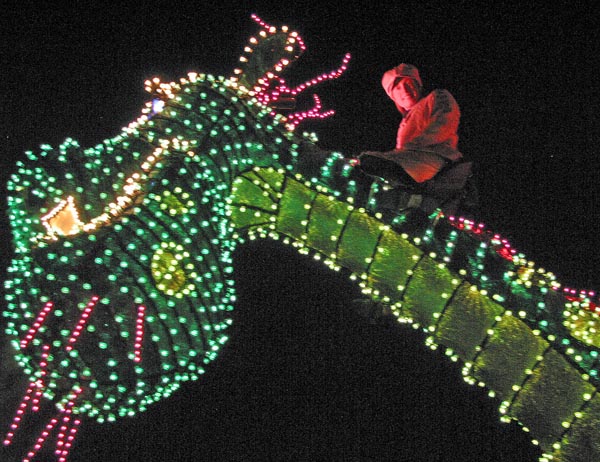 Disney's Electrical Parade 23