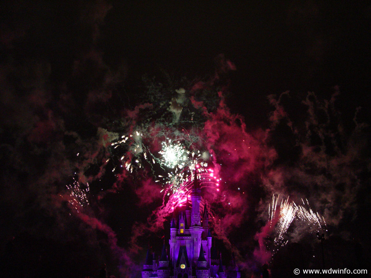 Disney's Pirate & Princess Party