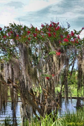 Disney's Saratoga Springs Resort &amp;amp;amp;amp;amp; Spa is a Disney