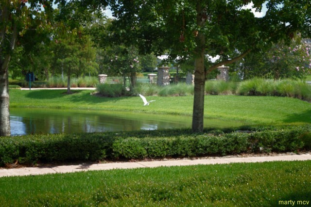 Disney's Saratoga Springs Resort &amp; Spa is a Disney Vacation Club
