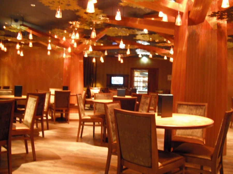 Disney's Sequoia Lodge - Golden Forest Lounge