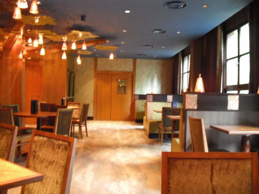 Disney's Sequoia Lodge - Golden Forest Lounge