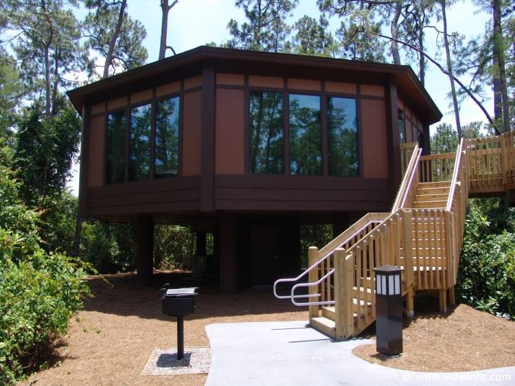 Disney's Treehouse Villas Photo