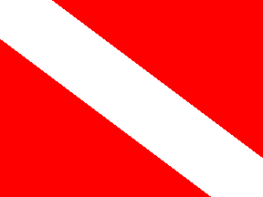 Diver Down