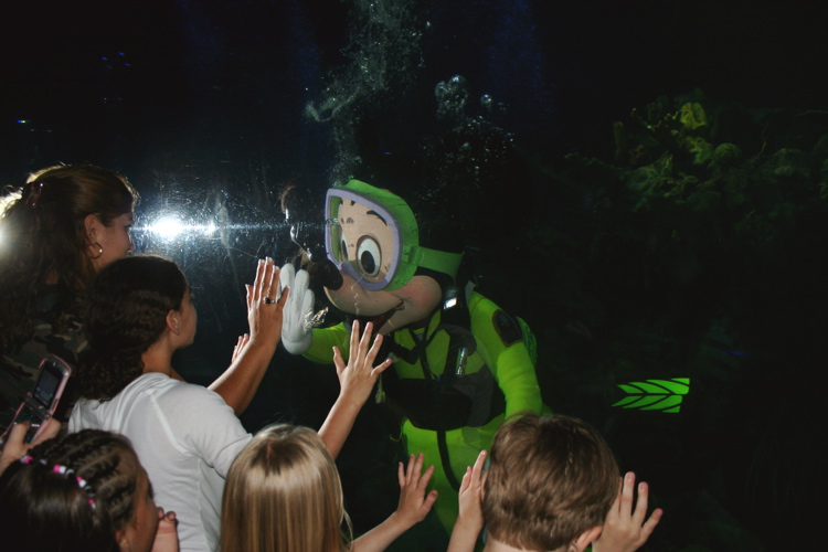 Diver