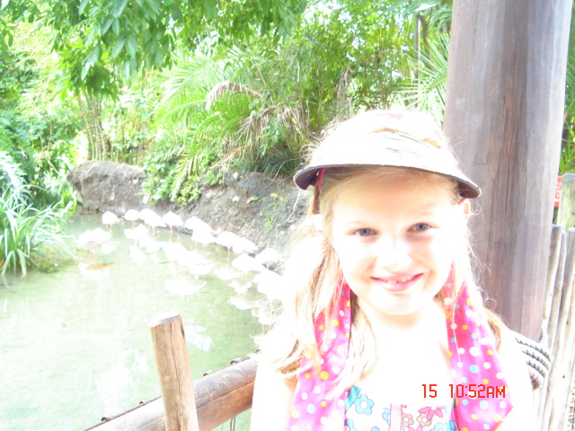 diz_-_ak_jungle