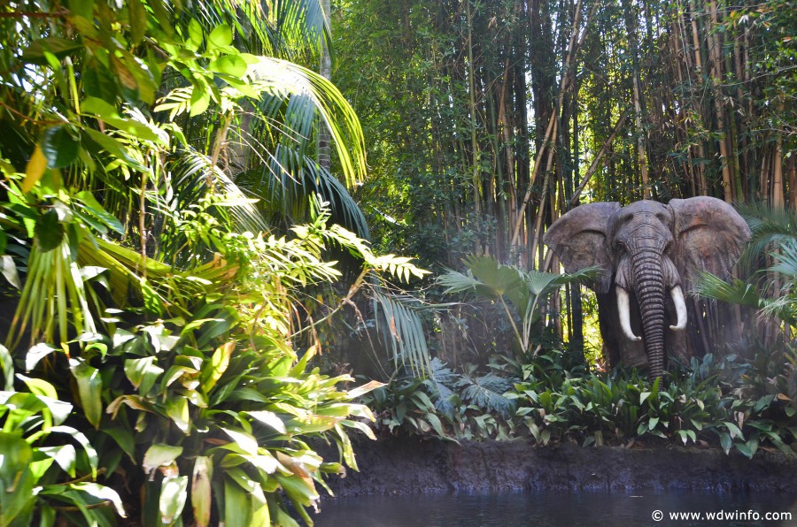 DL-Jungle-Cruise-017